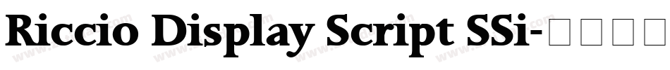 Riccio Display Script SSi字体转换
